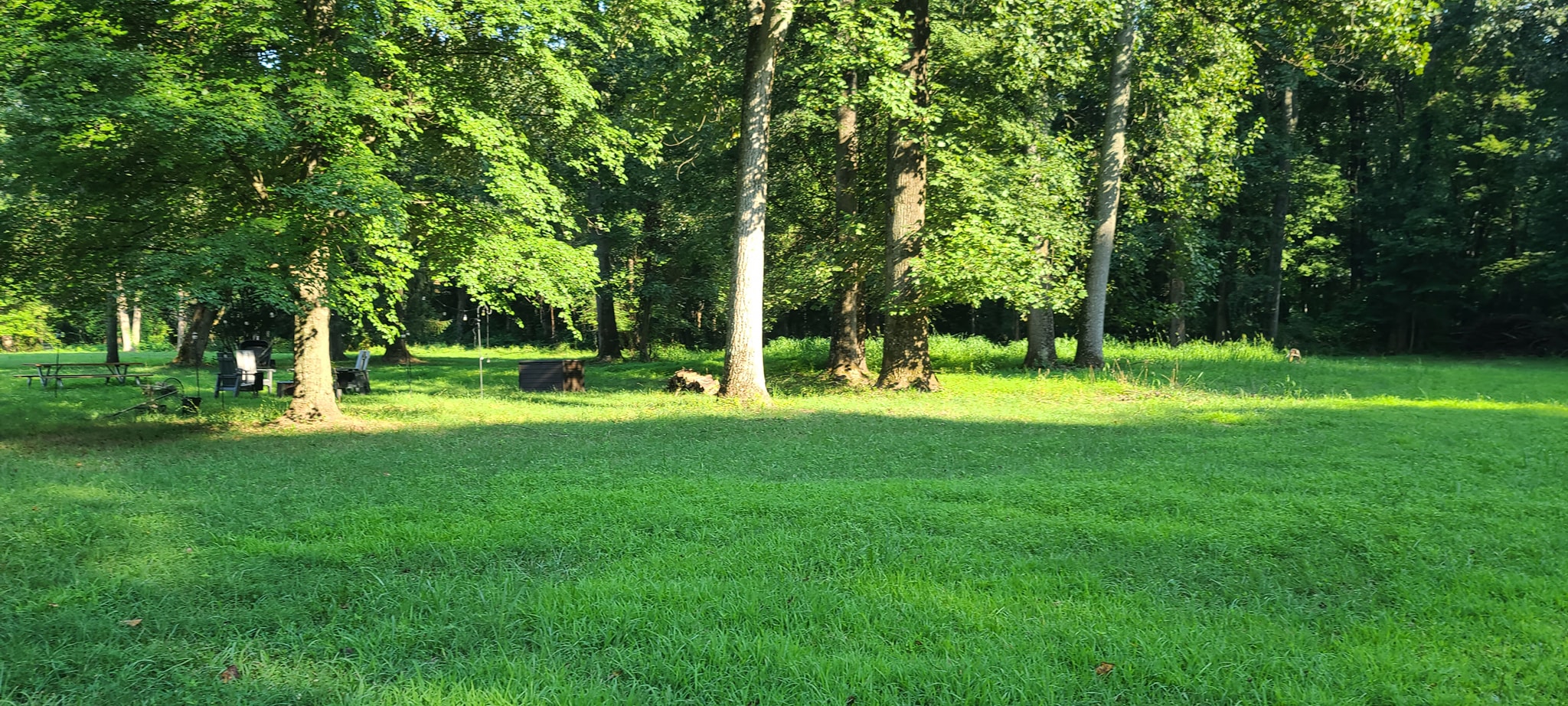 The open lawn ready and waiting before guests arrive — Campout 2024