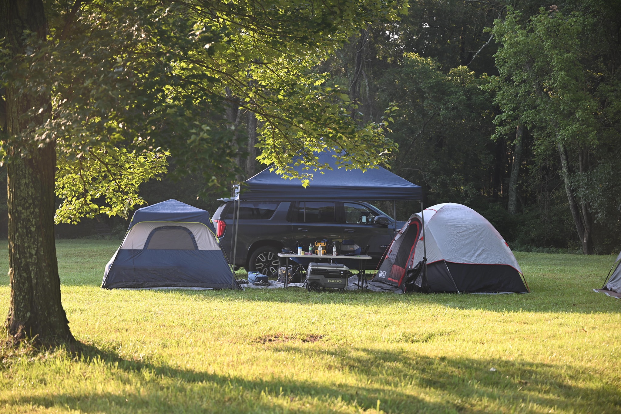 Tents and a truck with a canopy nestled in the wooded backyard at golden hour — Campout 2024