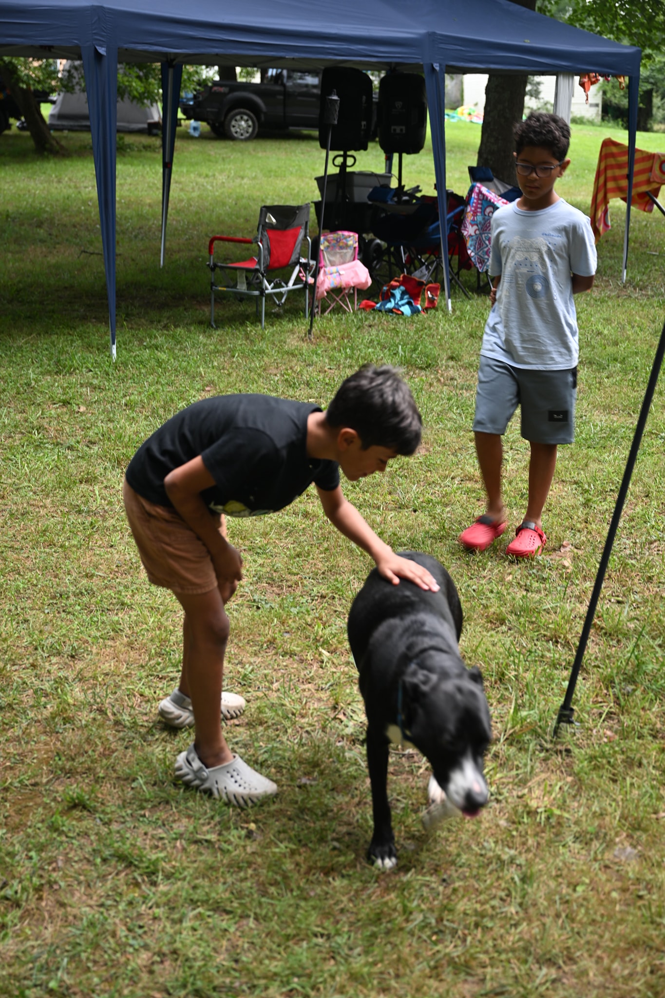 Two boys stopping to pet a black dog on the lawn — Campout 2024